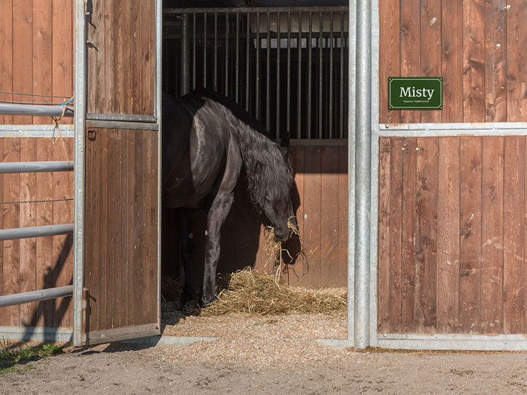 Naambordje Paardenstal