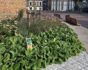 Routebord Met Houten Paal