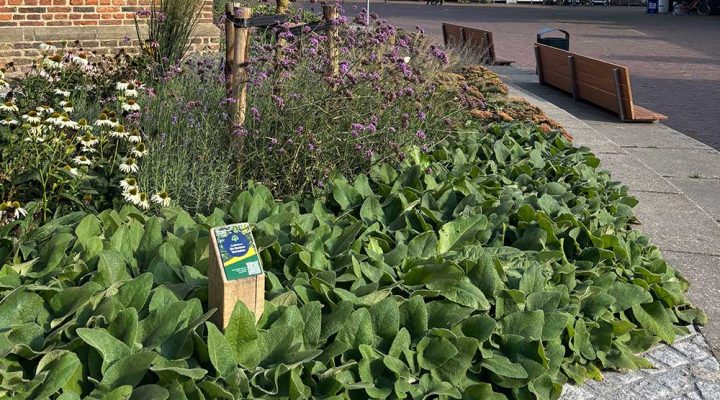 Routebord Met Houten Paal